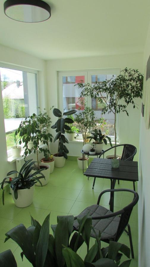 Apartment Luha *