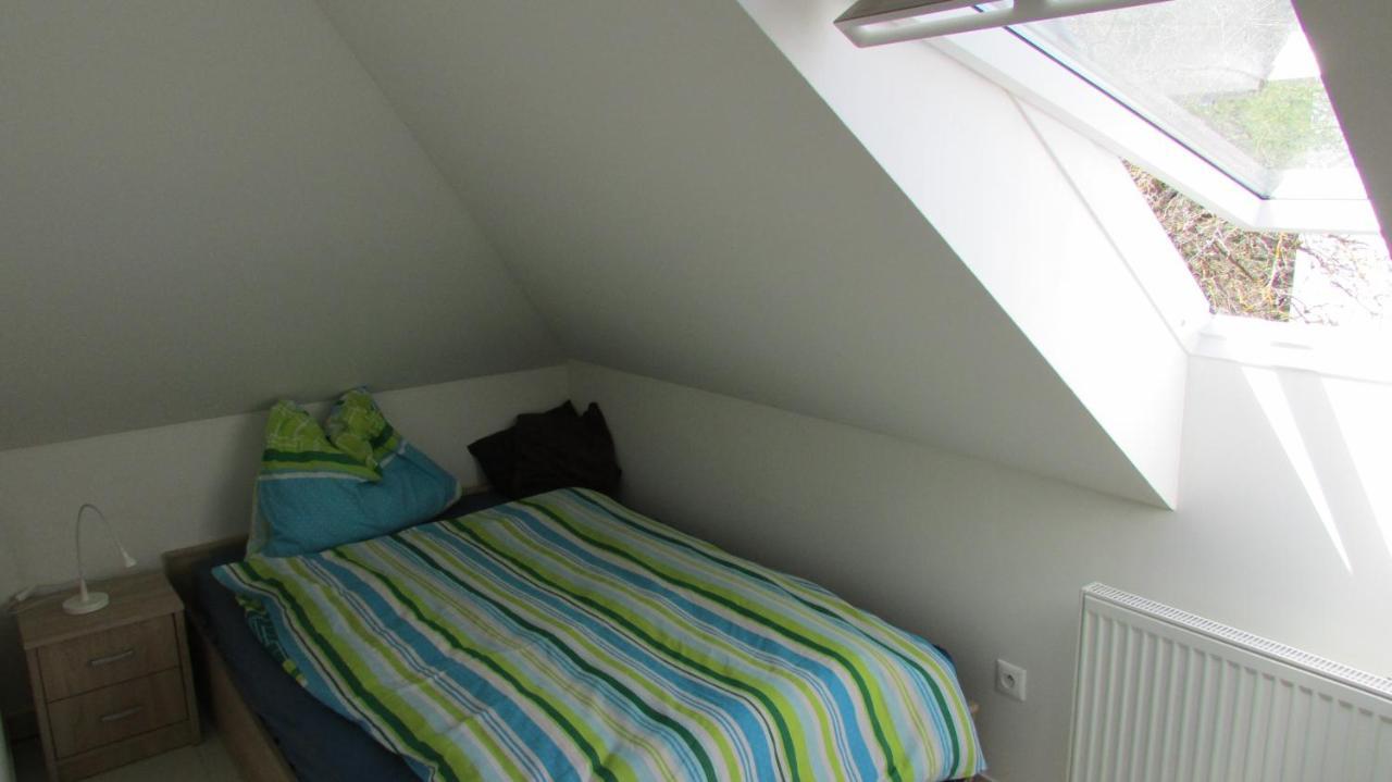 Apartment Luha *